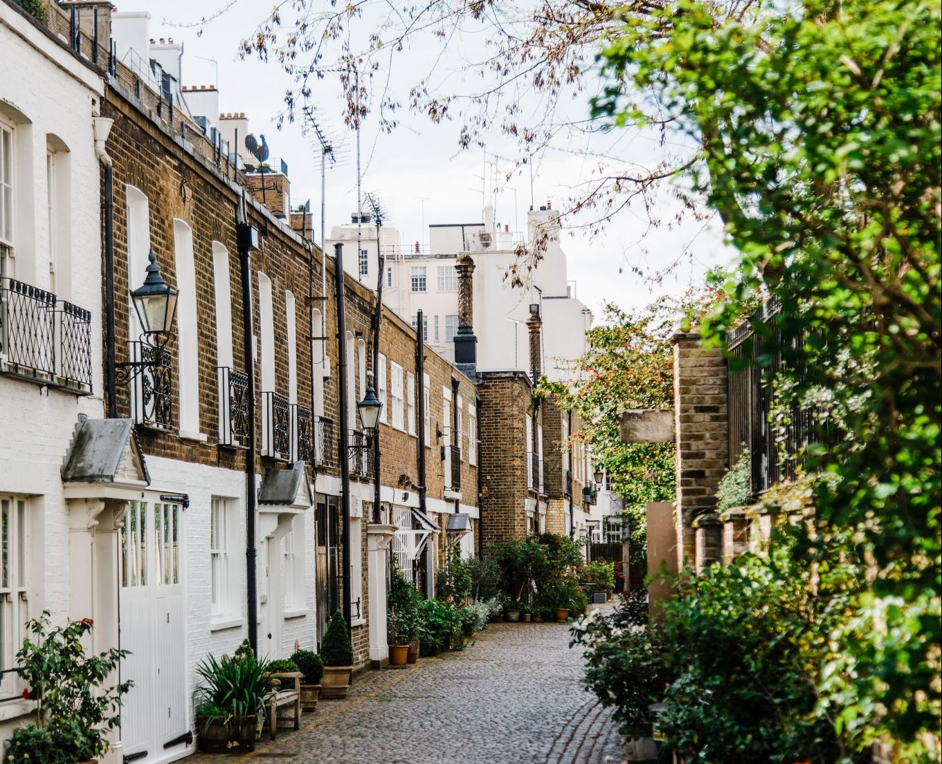Sales and property prices on the rise