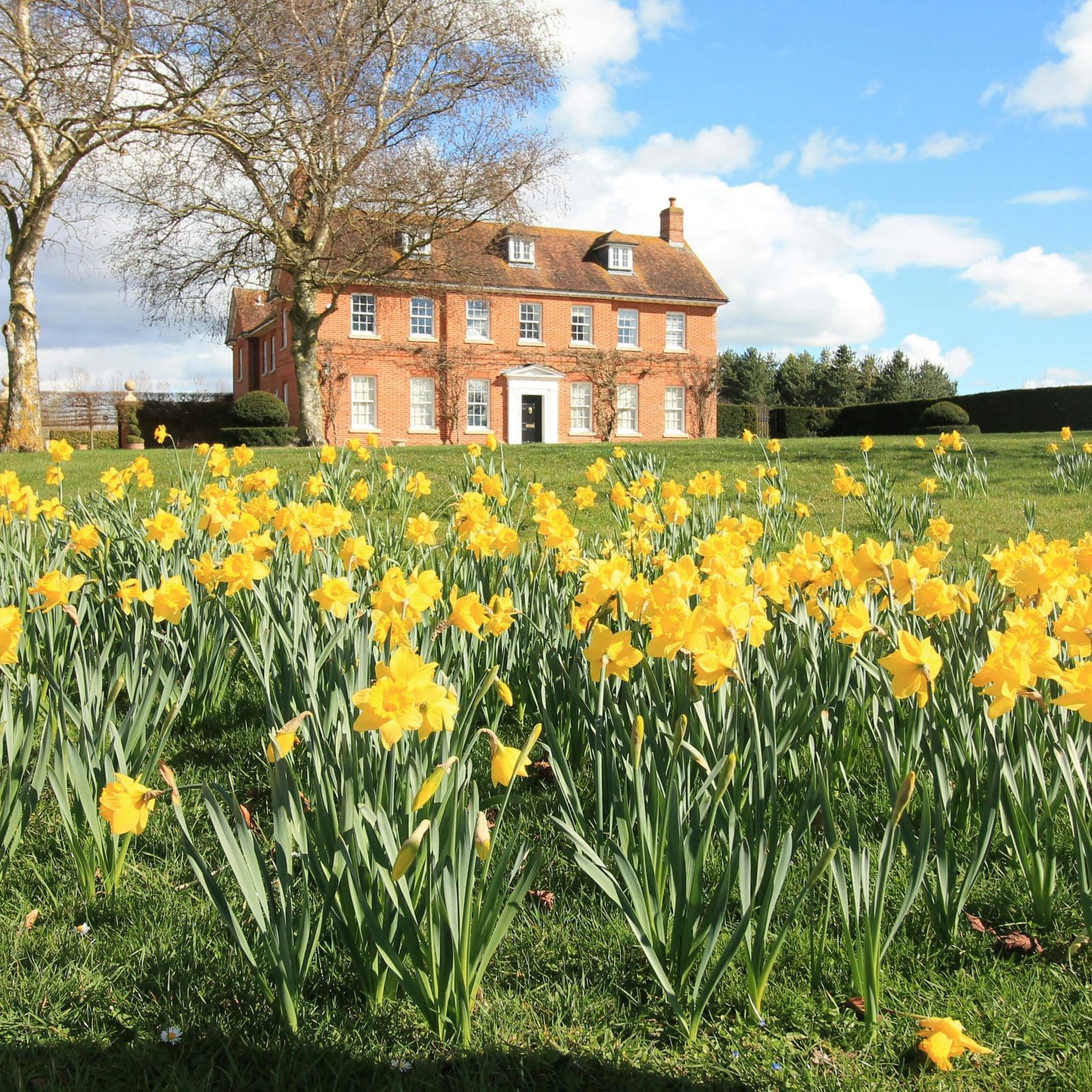 Spring budget 2024 Coapt