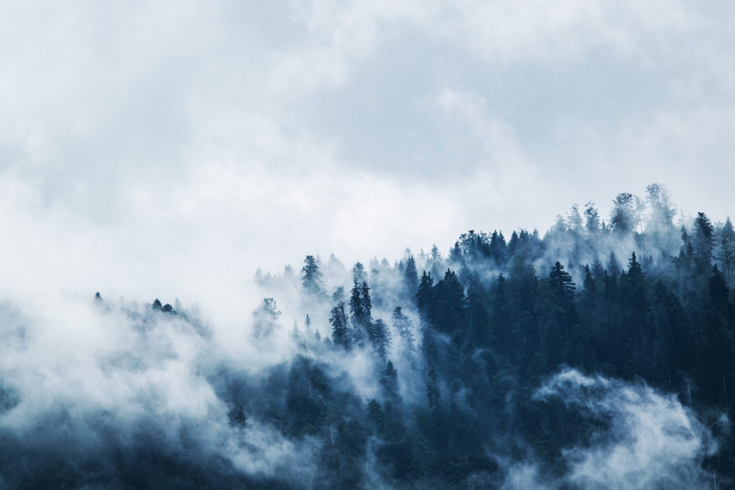 Winter is coming! – A Little advice from Coapt regarding the cold months ahead