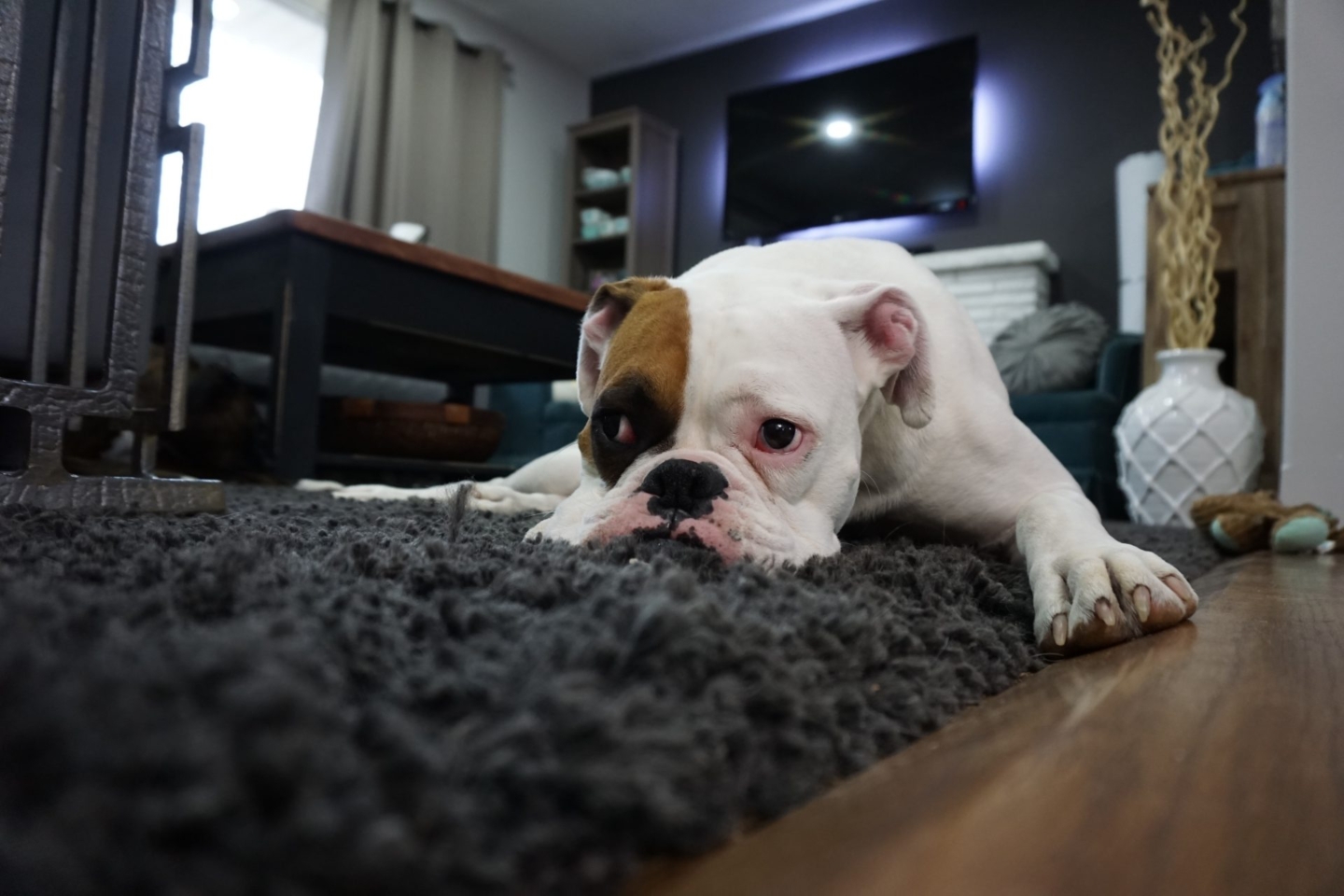 Do tenants want to buy?