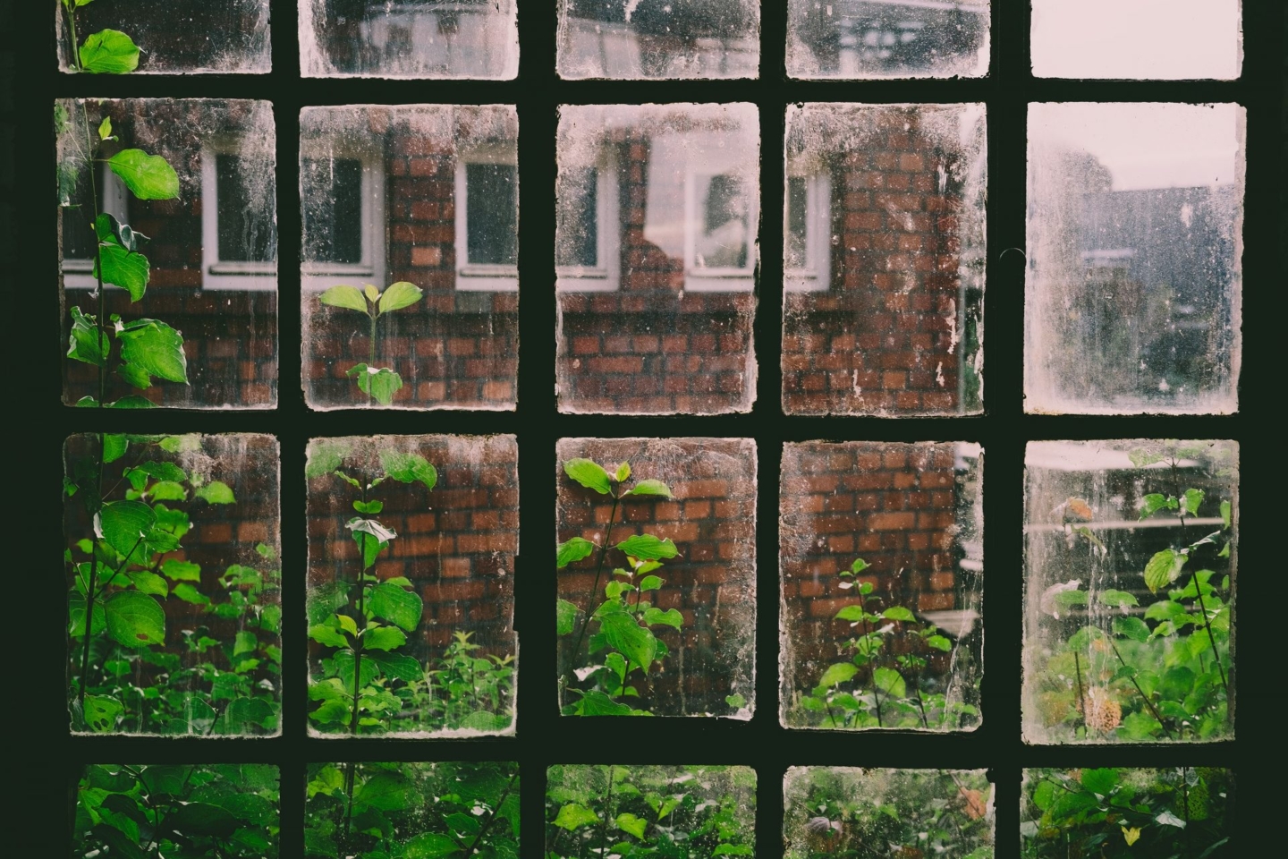 Lettings fee ban has MP’s wary of ‘unintended consequences’