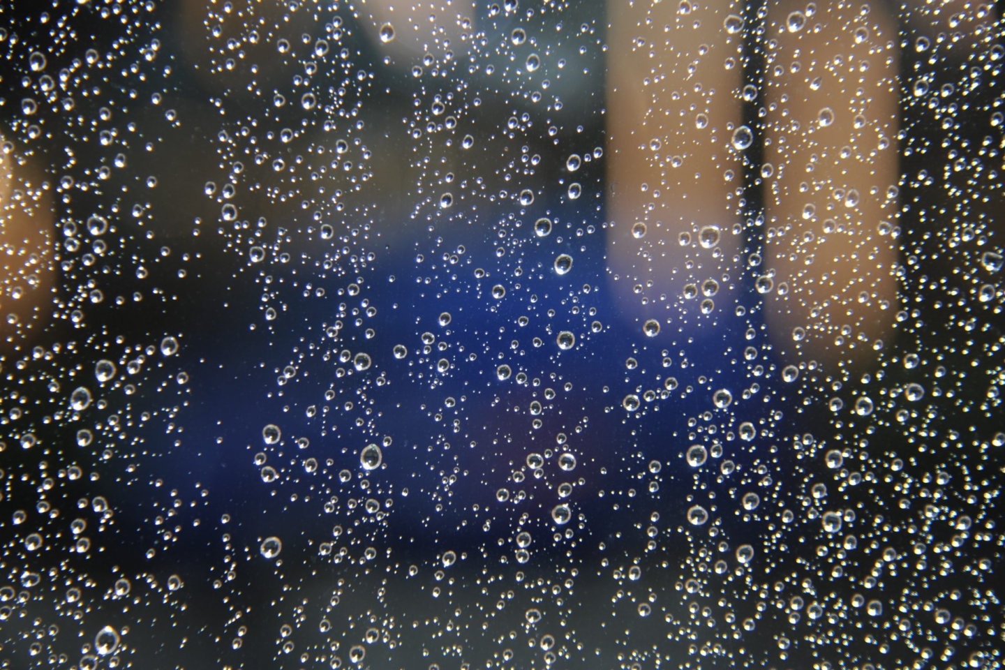 Condensation and mould