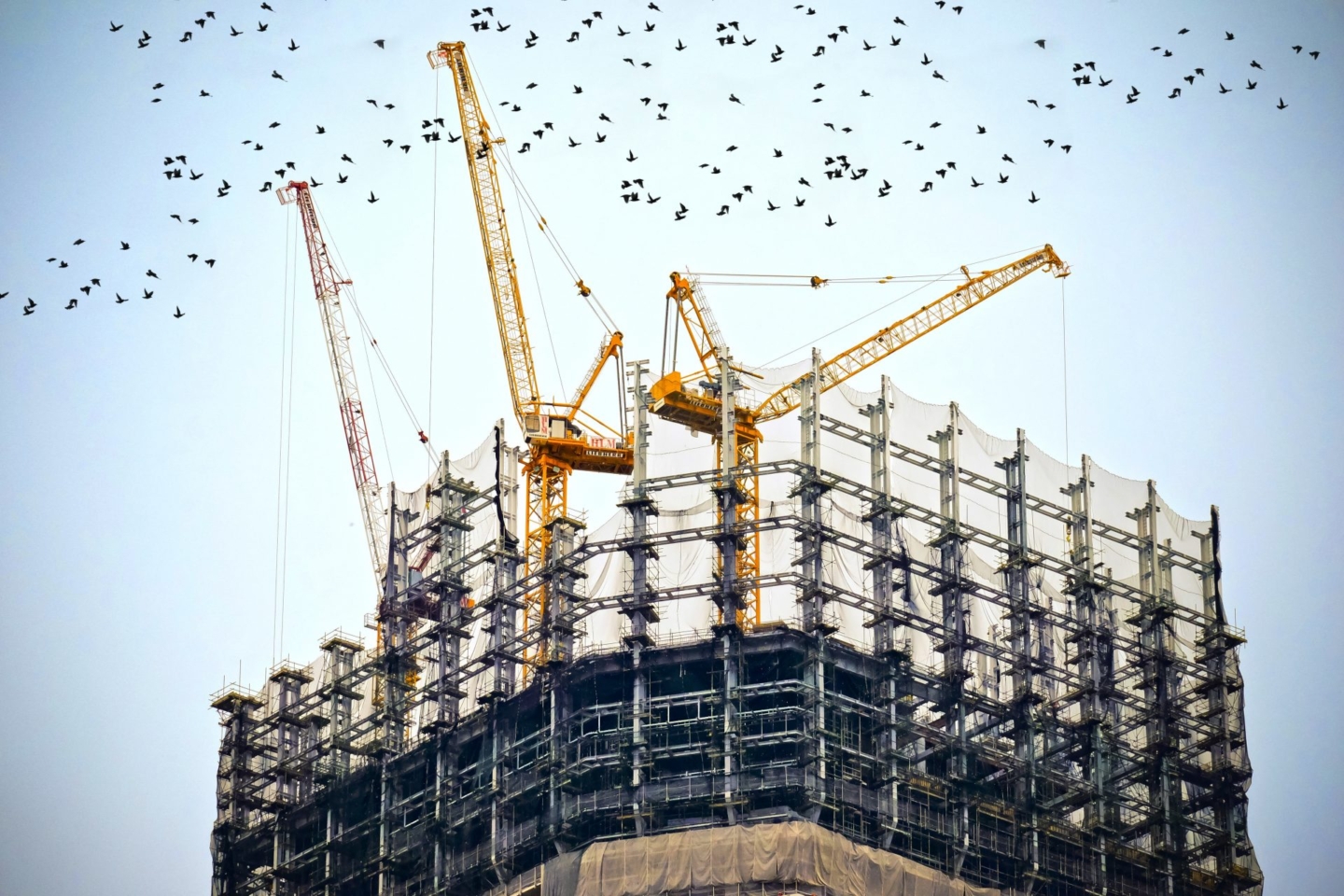 More student developments for Brighton
