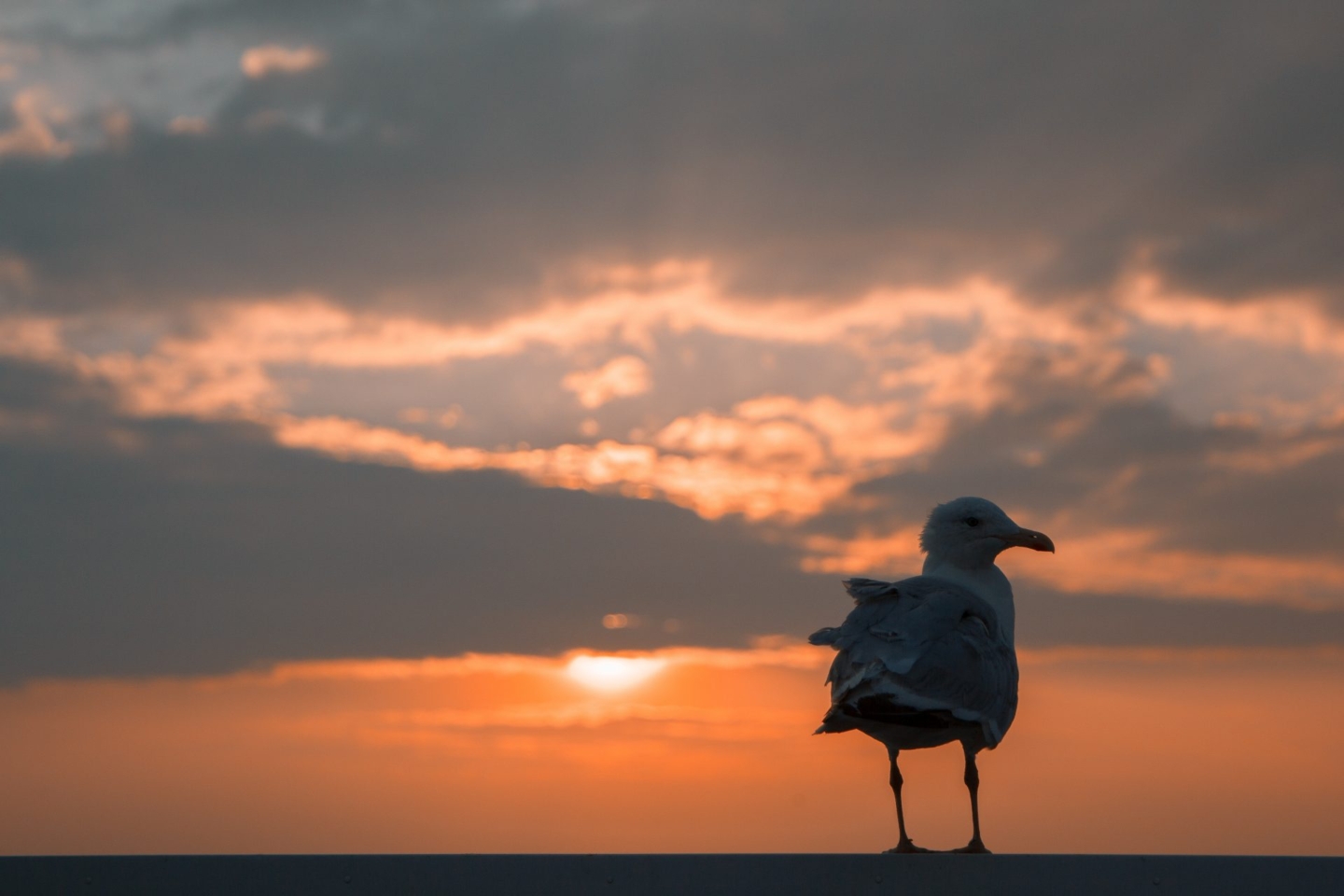 Public Consultation for Homes in Whitehawk