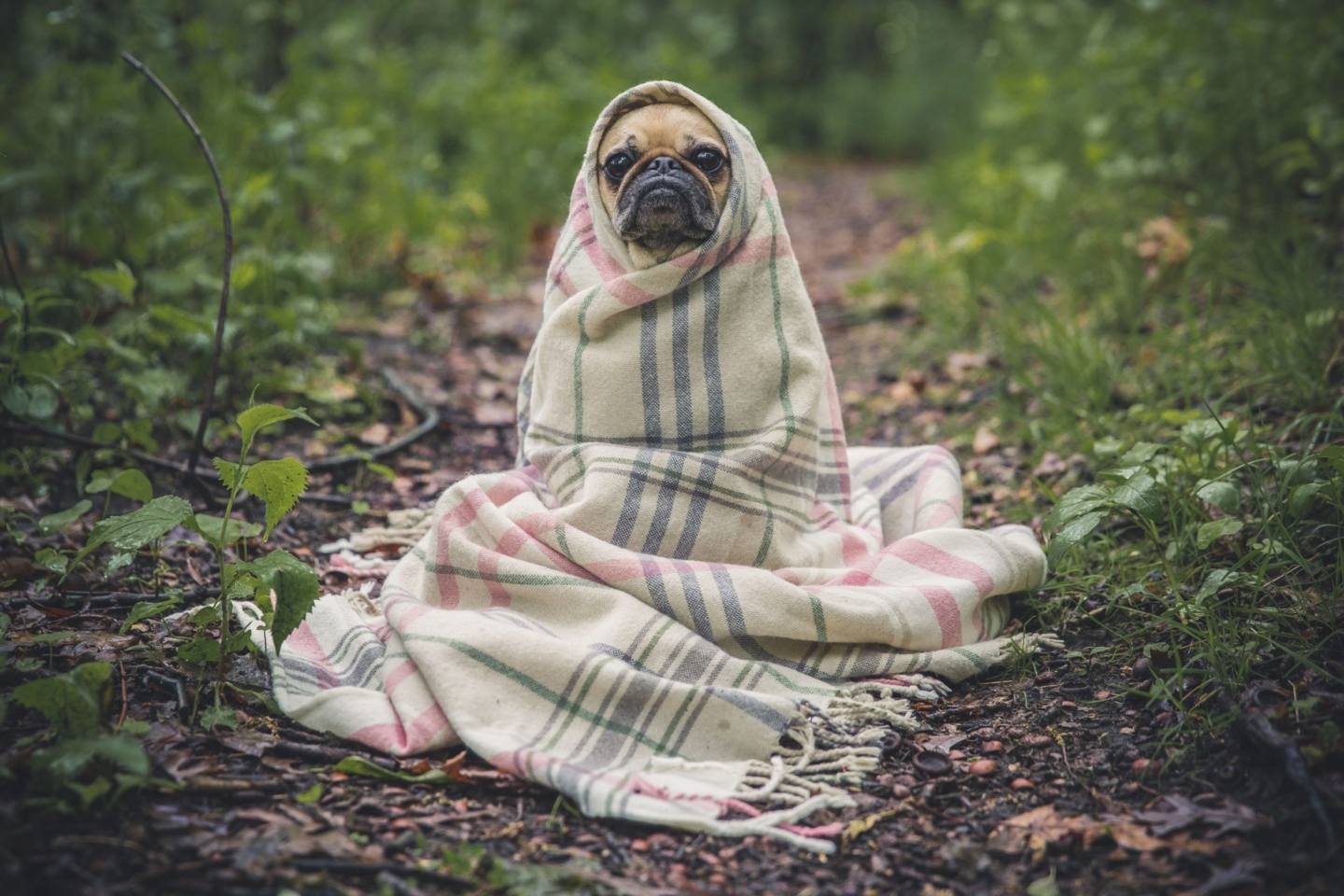 Don’t be chilly this winter!