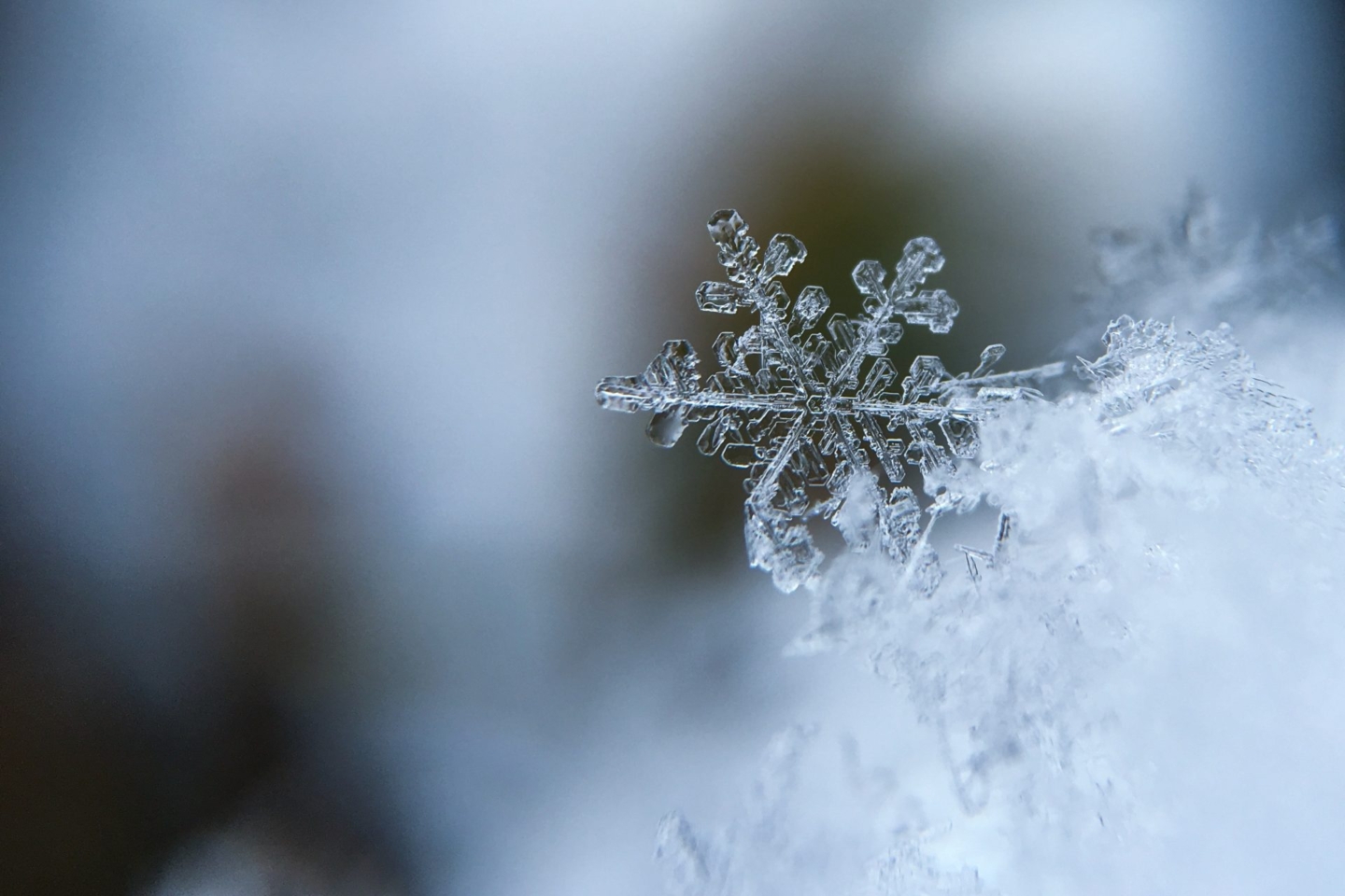 Brrr… It’s freezing!
