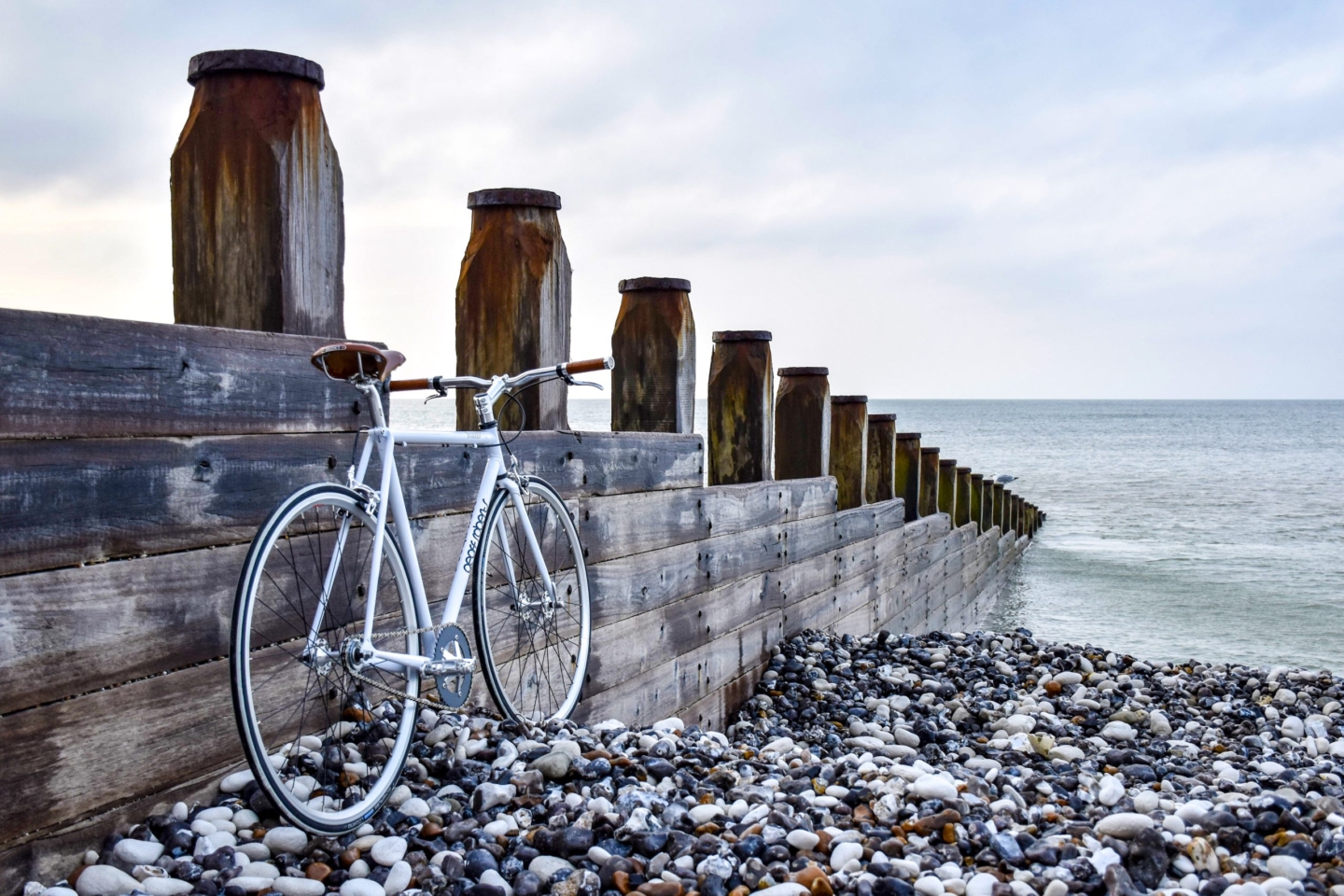 Moving Day: A Brighton guide for parents