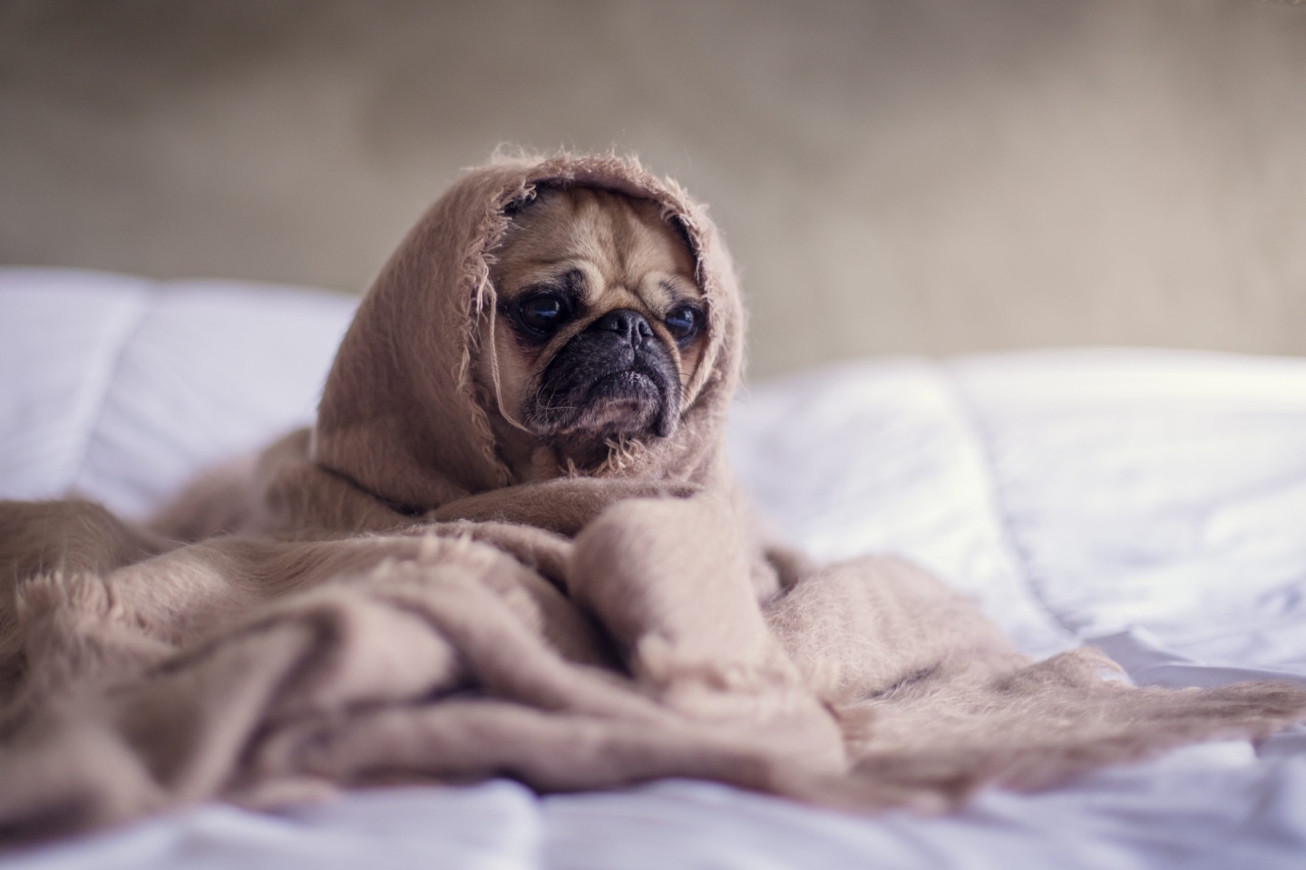 Don’t be chilly!