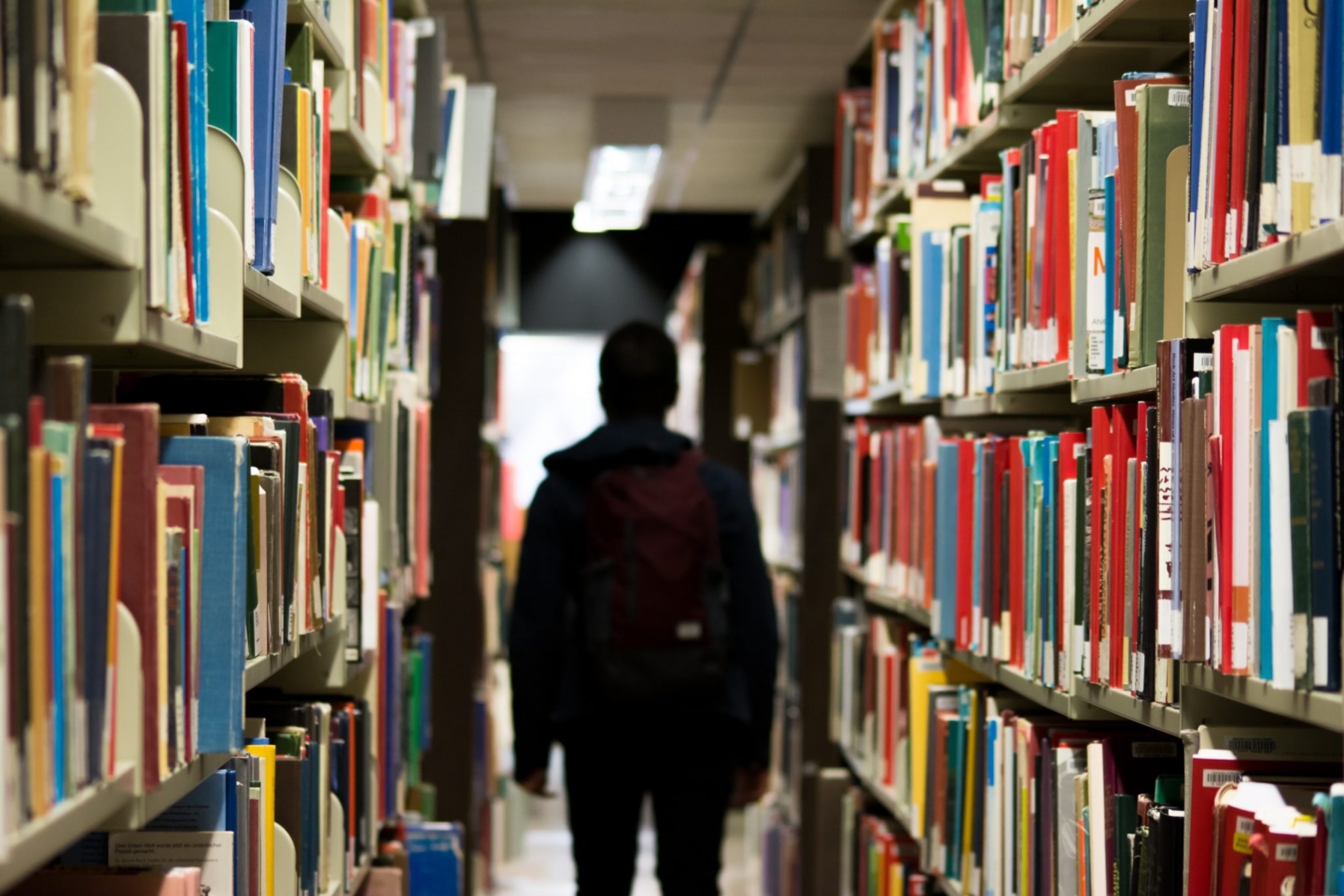 International student numbers