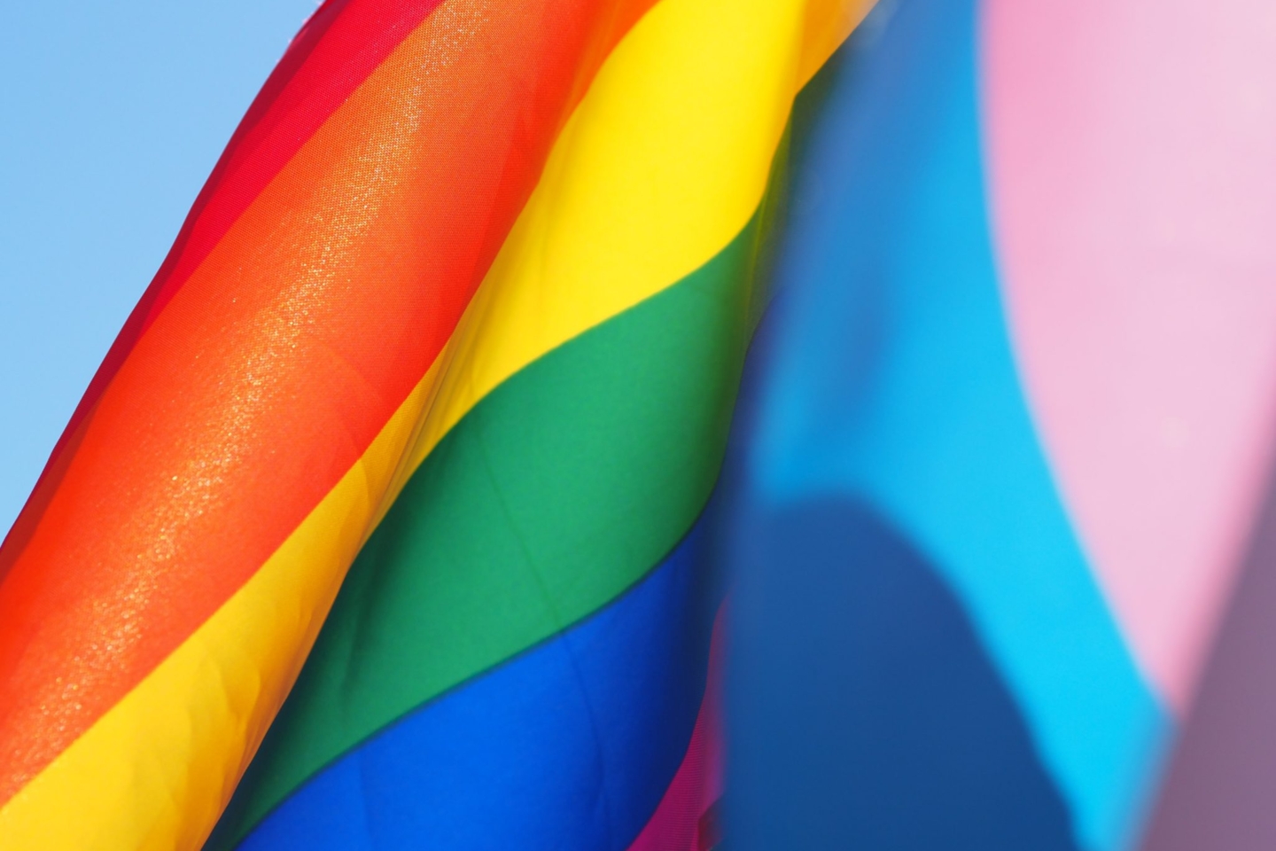 LGBTQ+ History Month