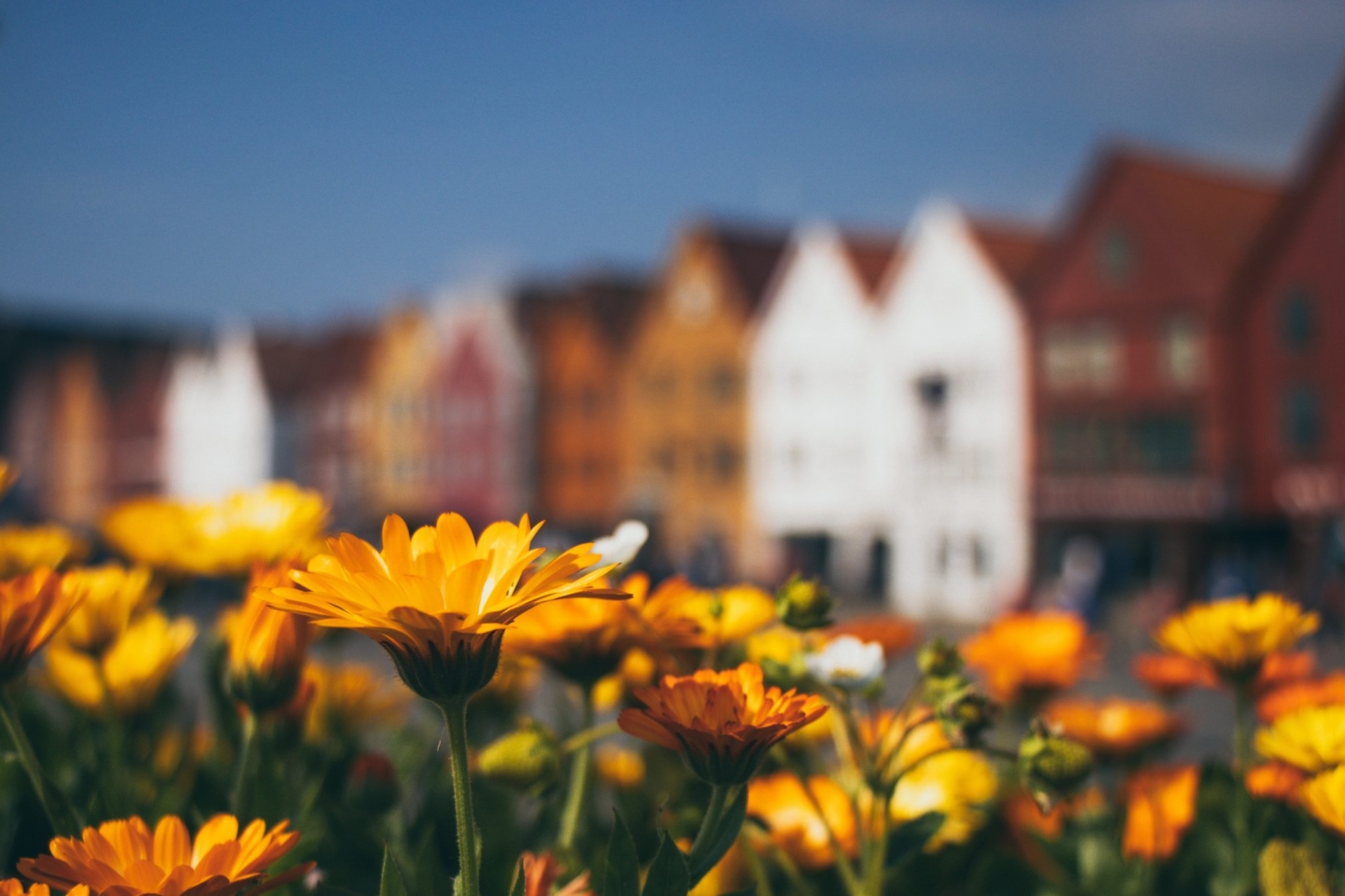 Spring property market update