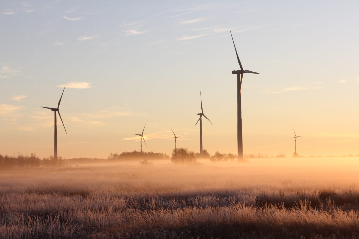 Energy Crisis Update