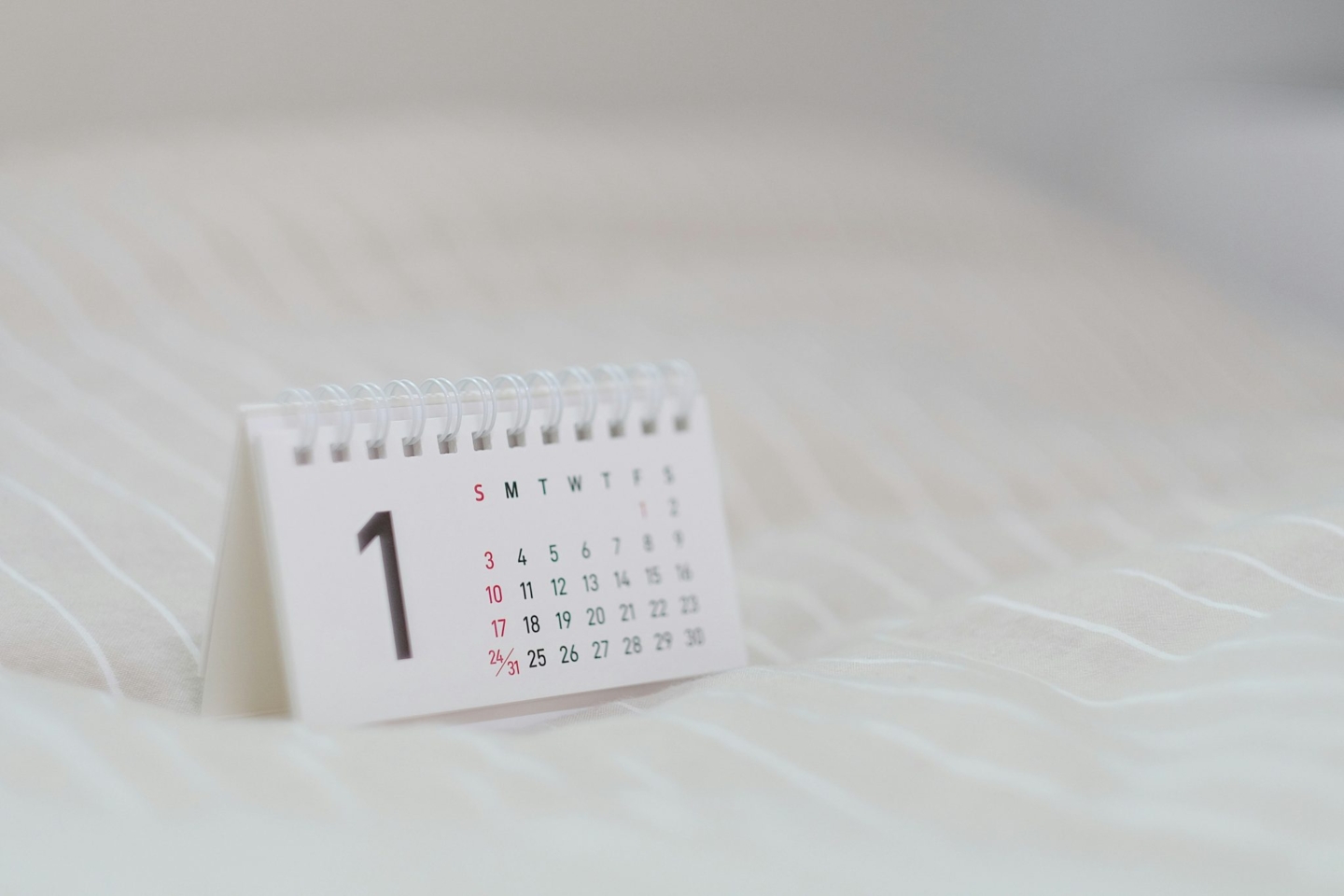 Preparing for the Renters’ Rights Act: First Steps
